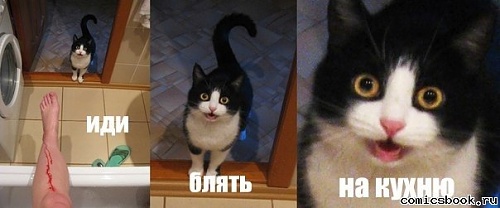 Нажмите на изображение для увеличения
Название: 5OtZ4ZVxpDA.jpg
Просмотров: 118
Размер:	32.0 Кб
ID:	61718