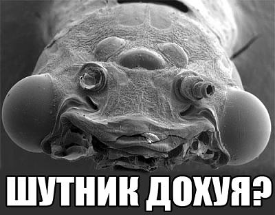 Нажмите на изображение для увеличения
Название: 1286894061549.jpg
Просмотров: 552
Размер:	67.8 Кб
ID:	6180