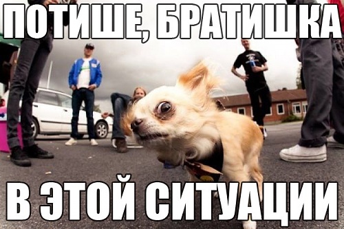 Нажмите на изображение для увеличения
Название: Ba1YmAjkPIM.jpg
Просмотров: 137
Размер:	70.2 Кб
ID:	62098