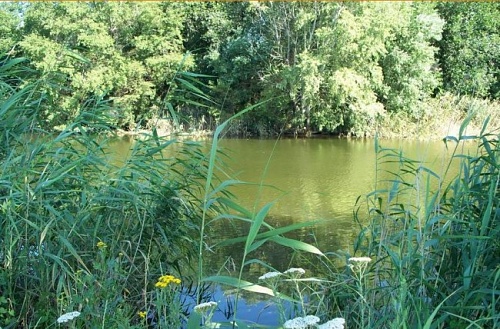 Нажмите на изображение для увеличения
Название: 113-650x428.jpg
Просмотров: 177
Размер:	134.6 Кб
ID:	62197