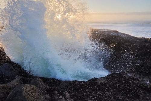 Нажмите на изображение для увеличения
Название: 3-650x436.jpg
Просмотров: 172
Размер:	47.9 Кб
ID:	62200