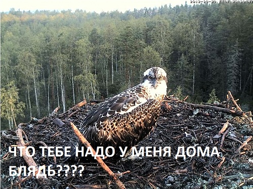 Нажмите на изображение для увеличения
Название: 1344481824727.jpg
Просмотров: 183
Размер:	268.9 Кб
ID:	62231