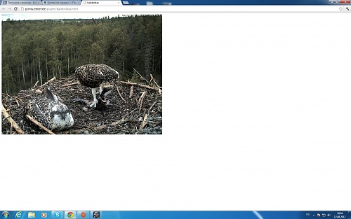 Нажмите на изображение для увеличения
Название: сщкщл.jpg
Просмотров: 200
Размер:	319.6 Кб
ID:	62500