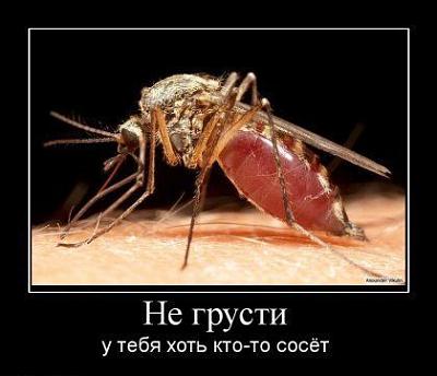Нажмите на изображение для увеличения
Название: 1286905603016.jpg
Просмотров: 265
Размер:	23.3 Кб
ID:	6288