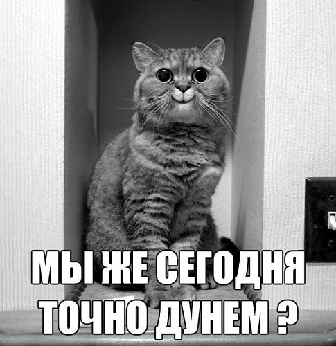 Нажмите на изображение для увеличения
Название: Ft-PFRMalL0.jpg
Просмотров: 198
Размер:	75.0 Кб
ID:	62985