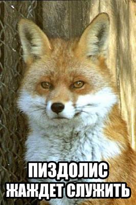 Нажмите на изображение для увеличения
Название: 1287076680641.jpg
Просмотров: 258
Размер:	130.0 Кб
ID:	6327