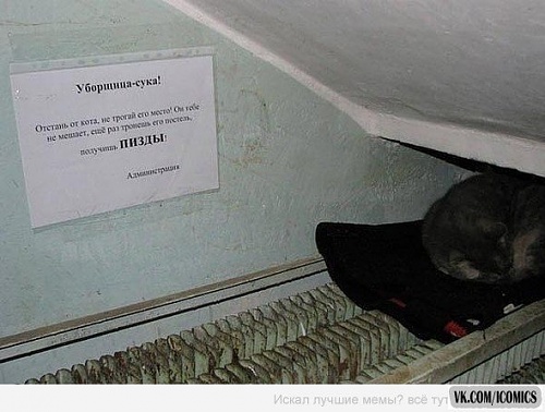 Нажмите на изображение для увеличения
Название: oP3UXV2LoBE.jpg
Просмотров: 223
Размер:	56.4 Кб
ID:	64528