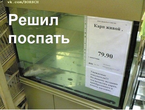 Нажмите на изображение для увеличения
Название: 9oXOgQi7VmI.jpg
Просмотров: 139
Размер:	58.9 Кб
ID:	66076