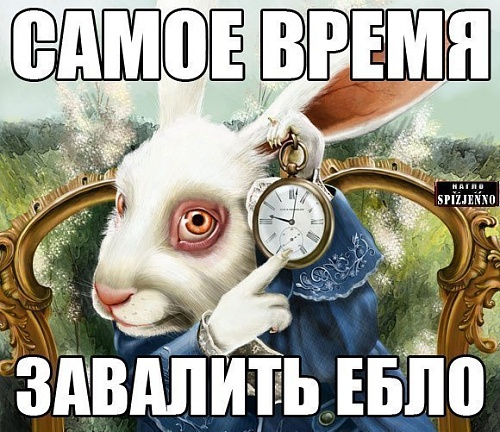 Нажмите на изображение для увеличения
Название: s0310cdf0Sg.jpg
Просмотров: 185
Размер:	89.4 Кб
ID:	66091