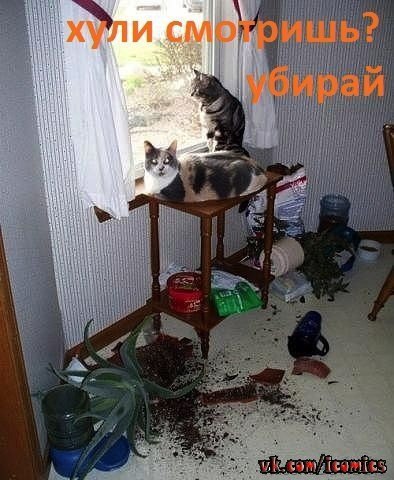 Название: FEoDJifEBYA.jpg
Просмотров: 265

Размер: 45.8 Кб