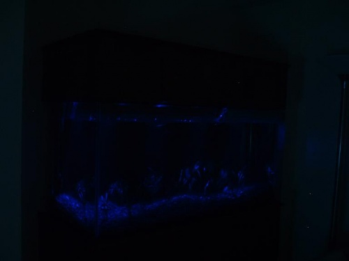 Нажмите на изображение для увеличения
Название: tank,%20night.jpg
Просмотров: 489
Размер:	23.0 Кб
ID:	66426