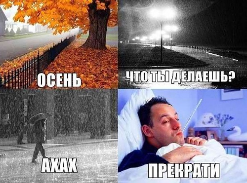 Нажмите на изображение для увеличения
Название: bk1012F3pgc.jpg
Просмотров: 413
Размер:	59.1 Кб
ID:	66430