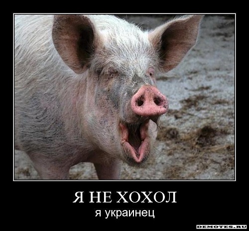Нажмите на изображение для увеличения
Название: 1282376203_6dg81wo6boj3.jpg
Просмотров: 1651
Размер:	54.7 Кб
ID:	68248