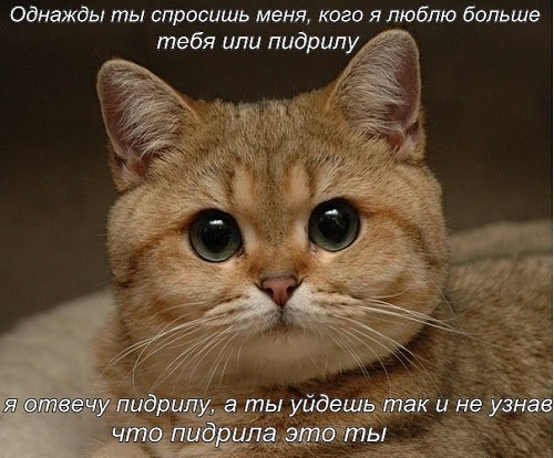 Нажмите на изображение для увеличения
Название: Tggz_hWtAVs.jpg
Просмотров: 128
Размер:	75.4 Кб
ID:	68435