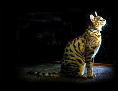 Нажмите на изображение для увеличения
Название: 1206722157_4.jpg
Просмотров: 203
Размер: 25.6 Кб
ID: 6878