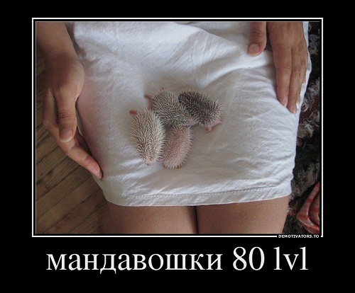 Нажмите на изображение для увеличения
Название: 3UiZzli8tj0.jpg
Просмотров: 184
Размер:	76.1 Кб
ID:	70477