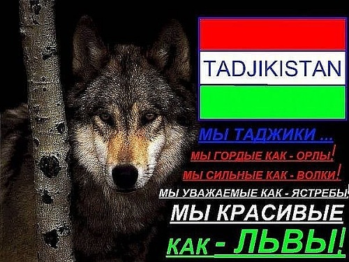 Нажмите на изображение для увеличения
Название: WDNsfTGGM0I.jpg
Просмотров: 116
Размер:	83.2 Кб
ID:	73108