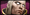 Название: invoker.png
Просмотров: 777

Размер: 2.2 Кб