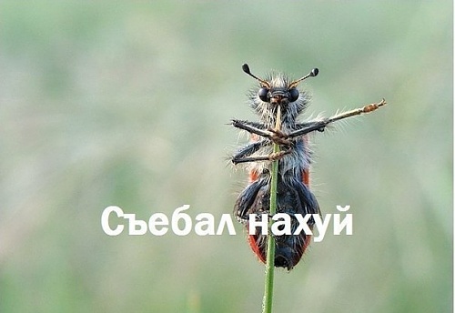 Нажмите на изображение для увеличения
Название: Bt8Efsf9xBI.jpg
Просмотров: 254
Размер:	37.1 Кб
ID:	75350