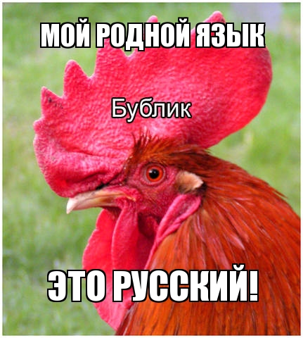 Название: memegenerator-1362428846595065.jpg
Просмотров: 405

Размер: 112.0 Кб