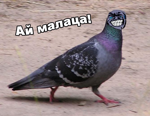 Нажмите на изображение для увеличения
Название: Комиксы-тп-переписка-женская-логика-76653.jpg
Просмотров: 235
Размер:	22.3 Кб
ID:	75898