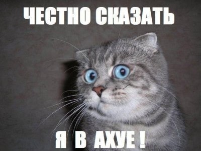 Название: TZRKTaiULBM.jpg
Просмотров: 411

Размер: 26.5 Кб