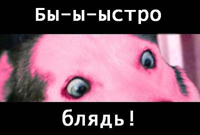 Нажмите на изображение для увеличения
Название: 1288325502363.jpg
Просмотров: 148
Размер:	29.9 Кб
ID:	7715