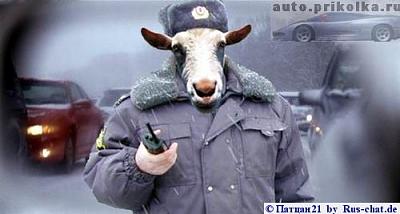 Нажмите на изображение для увеличения
Название: 1288438381855.jpg
Просмотров: 120
Размер:	23.6 Кб
ID:	7733