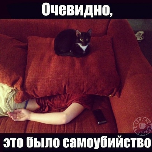 Нажмите на изображение для увеличения
Название: 43JF4knFcV4.jpg
Просмотров: 144
Размер:	70.8 Кб
ID:	77876