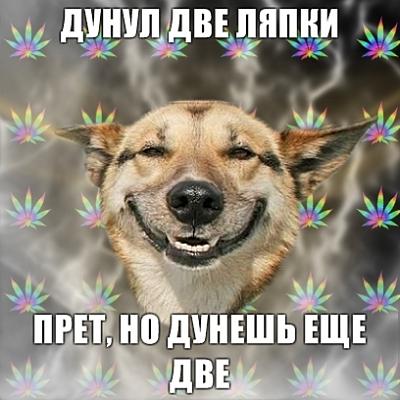 Нажмите на изображение для увеличения
Название: 1288949615008.jpg
Просмотров: 189
Размер:	138.8 Кб
ID:	7789
