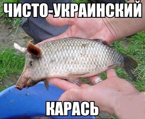 Название: Ze3xTNgTyzY.jpg
Просмотров: 400

Размер: 58.7 Кб