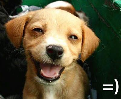 Нажмите на изображение для увеличения
Название: 1289309476320.jpg
Просмотров: 268
Размер:	34.7 Кб
ID:	8340