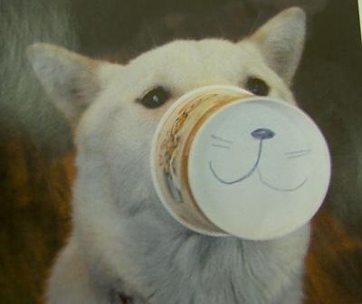 Нажмите на изображение для увеличения
Название: 1289398588510.jpg
Просмотров: 286
Размер:	27.8 Кб
ID:	8353