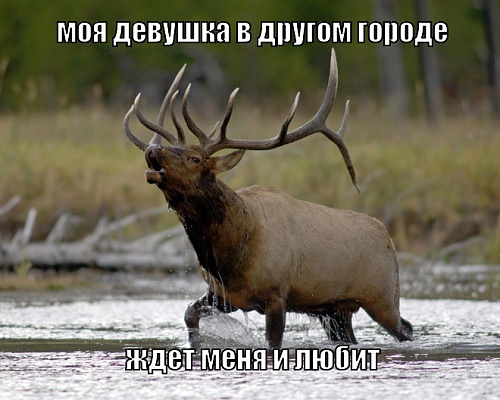 Нажмите на изображение для увеличения
Название: lol1390237304.jpg
Просмотров: 192
Размер:	104.6 Кб
ID:	84014