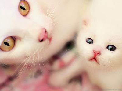 Нажмите на изображение для увеличения
Название: 1289479185563.jpg
Просмотров: 278
Размер:	65.1 Кб
ID:	8402