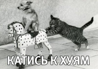 Нажмите на изображение для увеличения
Название: 13600696574549.jpg
Просмотров: 359
Размер:	45.6 Кб
ID:	85025