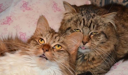 Нажмите на изображение для увеличения
Название: LXUgypoTV1w.jpg
Просмотров: 435
Размер: 55.3 Кб
ID: 85116