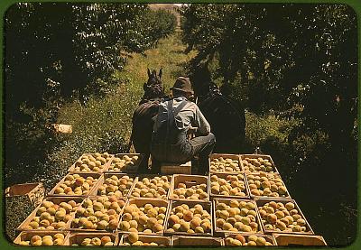 Нажмите на изображение для увеличения
Название: color024.sJPG_950_2000_0_75_0_50_50.sJPG.jpg
Просмотров: 180
Размер:	213.2 Кб
ID:	8537