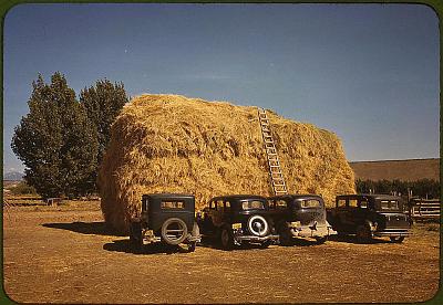 Нажмите на изображение для увеличения
Название: color025.sJPG_950_2000_0_75_0_50_50.sJPG.jpg
Просмотров: 178
Размер:	181.5 Кб
ID:	8538