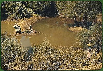 Нажмите на изображение для увеличения
Название: color035.sJPG_950_2000_0_75_0_50_50.sJPG.jpg
Просмотров: 172
Размер:	314.7 Кб
ID:	8548