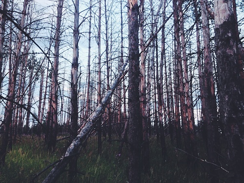 Нажмите на изображение для увеличения
Название: IMG_0326.JPG
Просмотров: 428
Размер:	2.59 Мб
ID:	86028