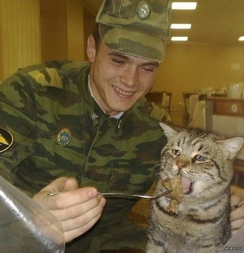 Нажмите на изображение для увеличения
Название: 1365363429_2038126048.jpg
Просмотров: 191
Размер:	103.0 Кб
ID:	86166
