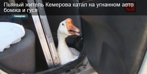 Нажмите на изображение для увеличения
Название: QLwixFmSWU4.jpg
Просмотров: 137
Размер:	28.8 Кб
ID:	86501