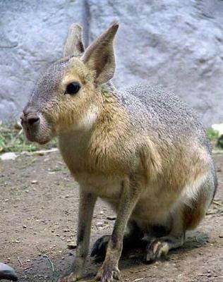 Нажмите на изображение для увеличения
Название: 1.jpg
Просмотров: 259
Размер:	49.9 Кб
ID:	8701