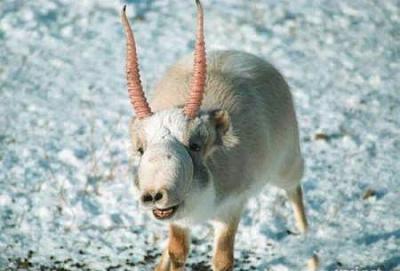 Нажмите на изображение для увеличения
Название: 2.jpg
Просмотров: 244
Размер:	26.4 Кб
ID:	8702