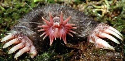 Нажмите на изображение для увеличения
Название: 3.jpg
Просмотров: 237
Размер:	26.8 Кб
ID:	8703