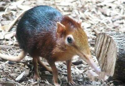 Нажмите на изображение для увеличения
Название: 4.jpg
Просмотров: 236
Размер:	33.5 Кб
ID:	8704