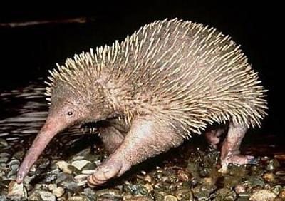 Нажмите на изображение для увеличения
Название: 5.jpg
Просмотров: 225
Размер:	36.0 Кб
ID:	8705