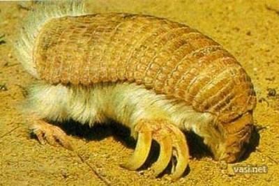 Нажмите на изображение для увеличения
Название: 6.jpg
Просмотров: 234
Размер:	33.4 Кб
ID:	8706