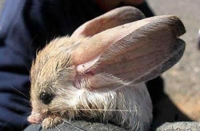 Нажмите на изображение для увеличения
Название: 7.jpg
Просмотров: 246
Размер:	25.6 Кб
ID:	8707